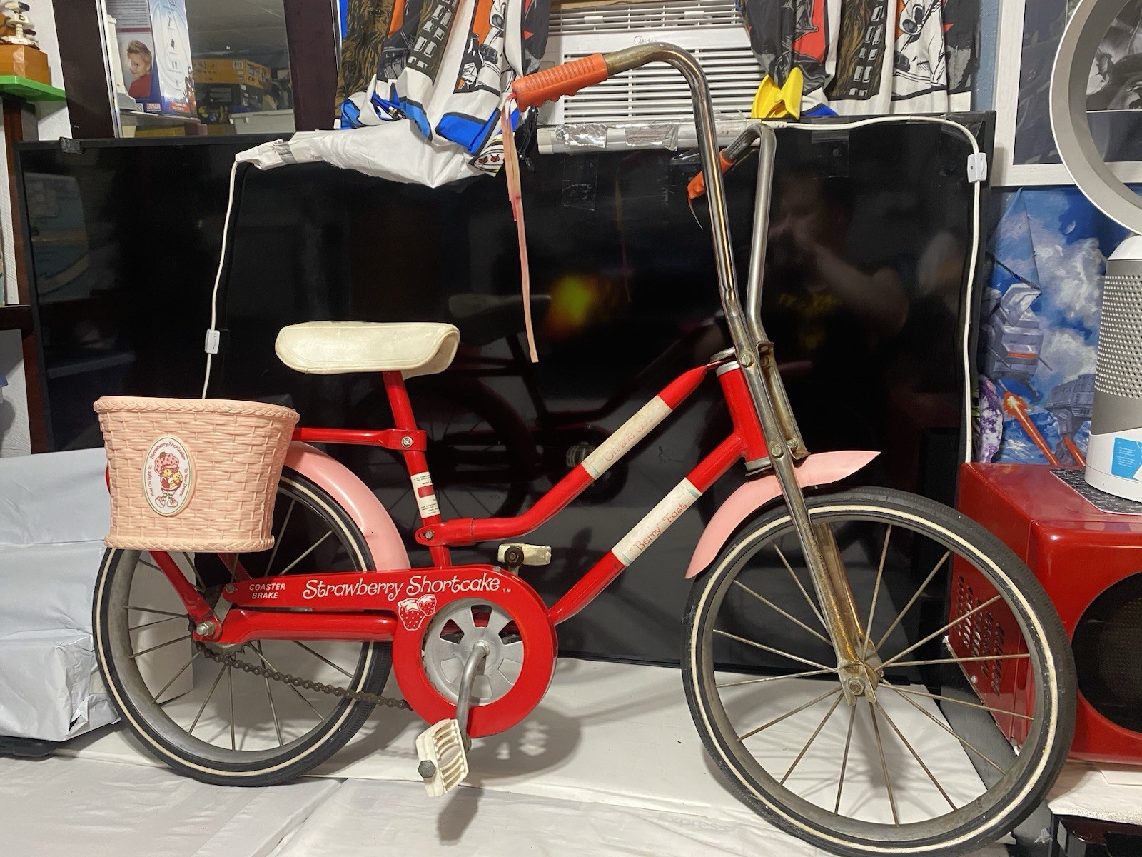 Strawberry Shortcake 1980’s Original Children’s Bicycle Vintage Cartoon Sears