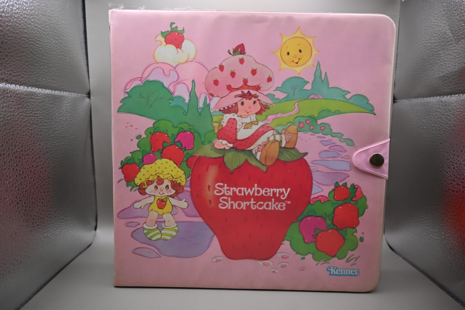 Vintage Strawberry Shortcake Carry Case Kenner 1980s Storage Organizer Only