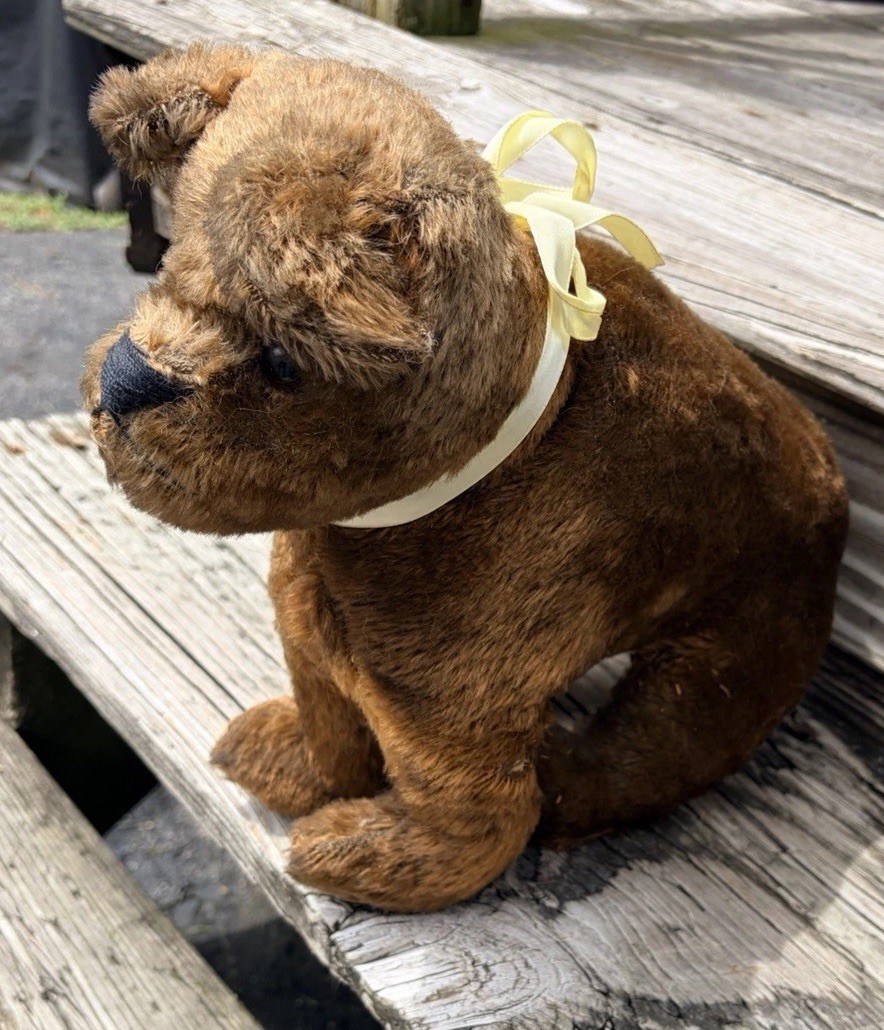 Antique 16” Teddy Bear Mohair Glass Eyes Excelsior Stuffed Needs Repair