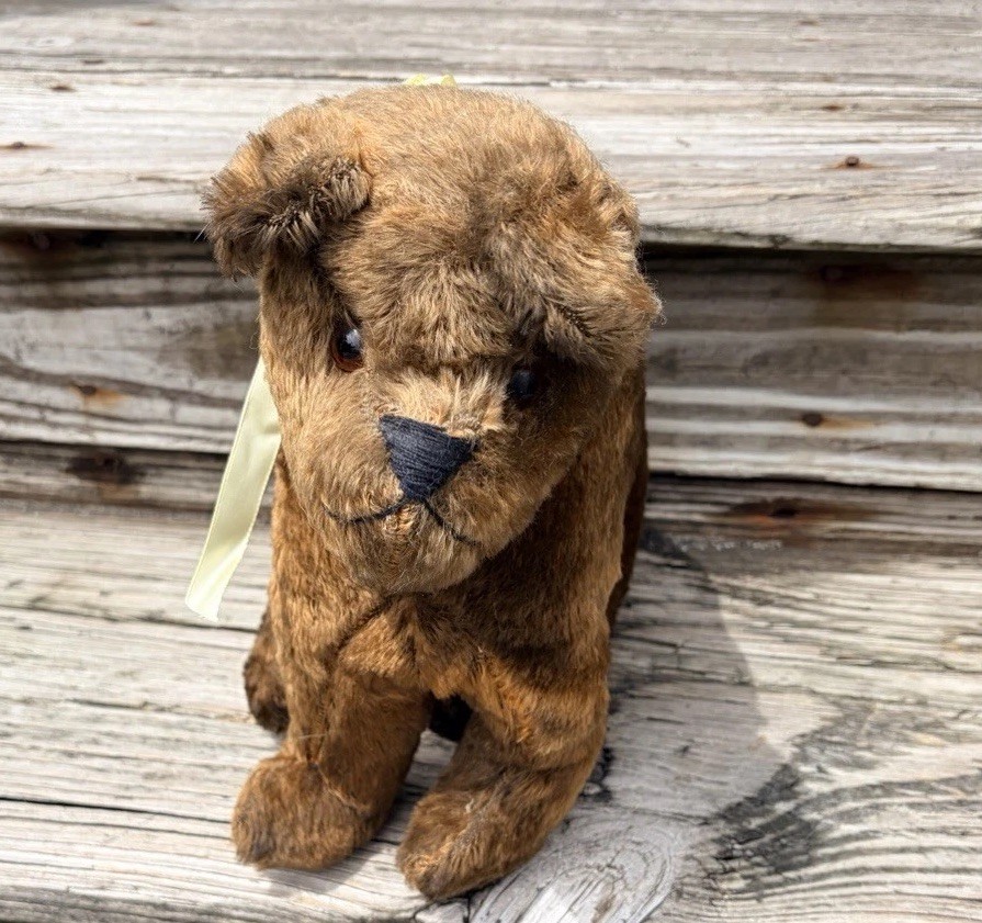 Antique 16” Teddy Bear Mohair Glass Eyes Excelsior Stuffed Needs Repair