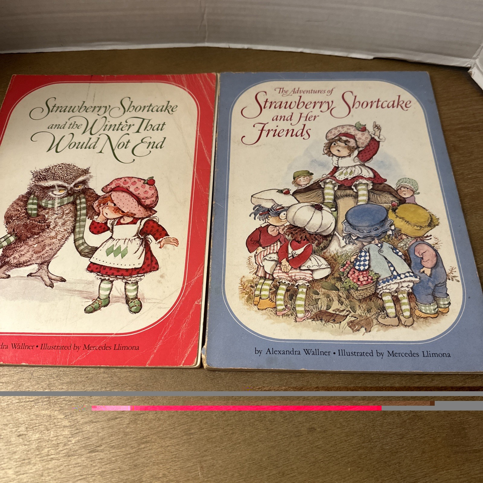 1980 Strawberry Shortcake Picture Book Strawberry And Friends + PB