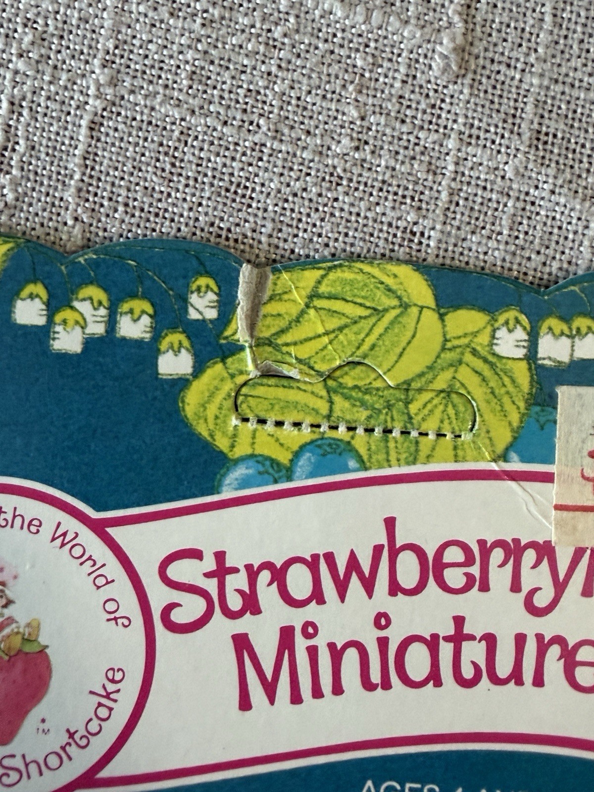 Kenner Blueberry Muffin w/ Cheesecake Strawberry Shortcake Strawberryland 1982