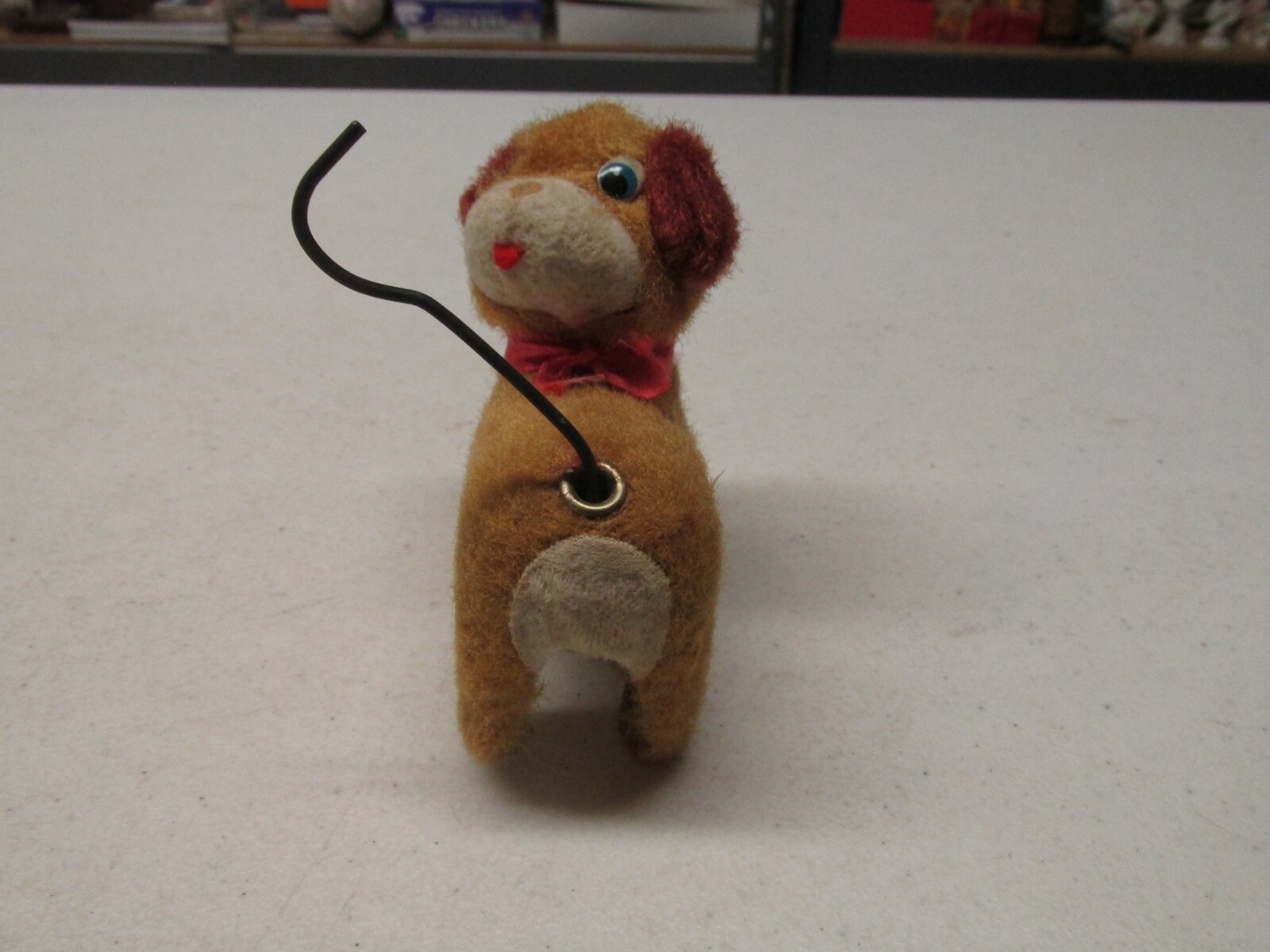 WING UP JAPANESE LITTLE DOG BARKS AND WIGGLES HIS TAIL