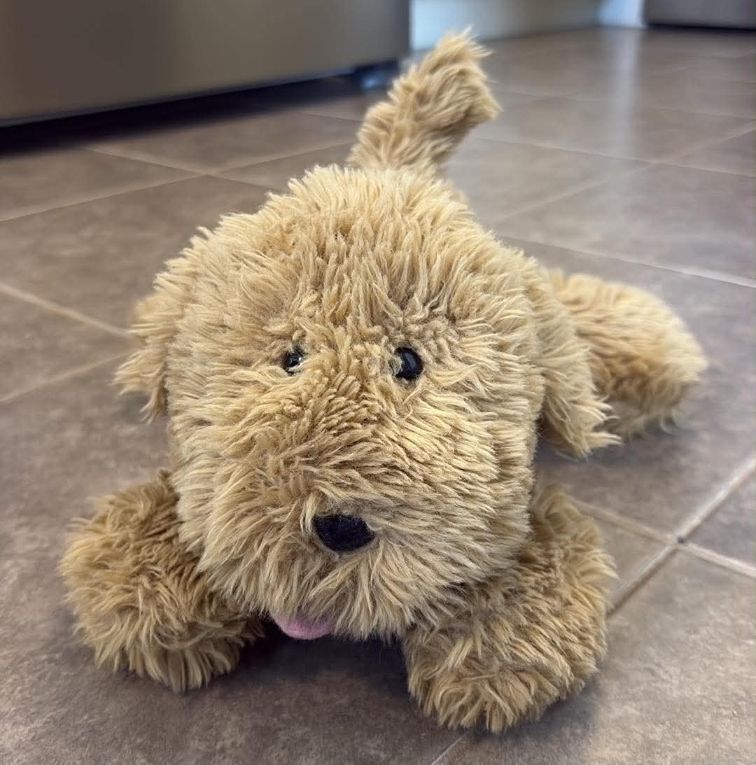 1996 Eden Marc Arthur Dog Pal Plush 14 Inch PBS Floppy Stuffed Animal