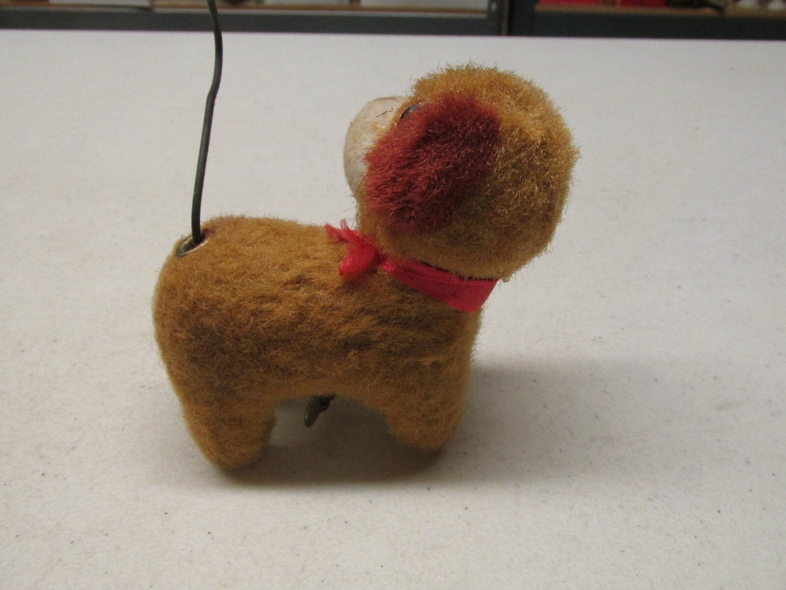 WING UP JAPANESE LITTLE DOG BARKS AND WIGGLES HIS TAIL
